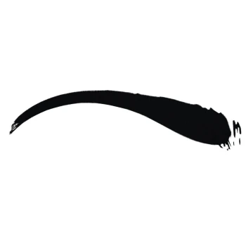 Akcesoria do makijażu Makeup Brush pędzel dou 31T 