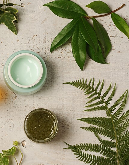 Kremy w słoikach otoczone liśćmi