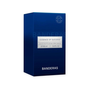 Wody toaletowe dla mężczyzn Essence of Success 100 ml