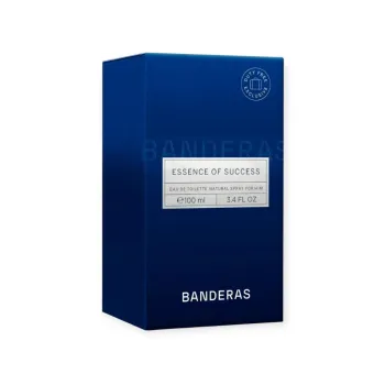 Wody toaletowe dla mężczyzn Essence of Success 100 ml