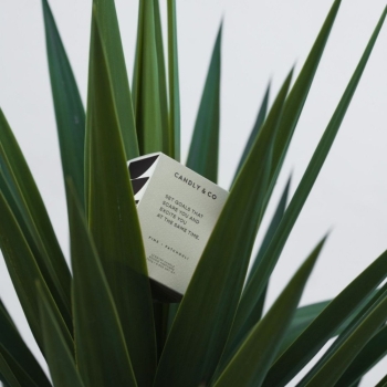 Świece zapachowe Candle Set Goals That Scare You And Excite You At The Same Time No. 4 250 g