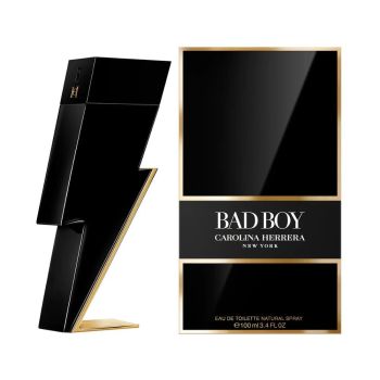 Wody toaletowe dla mężczyzn Bad Boy 100 ml