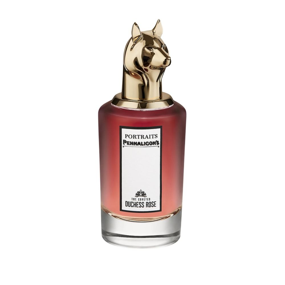 The Coveted Duchess Rose