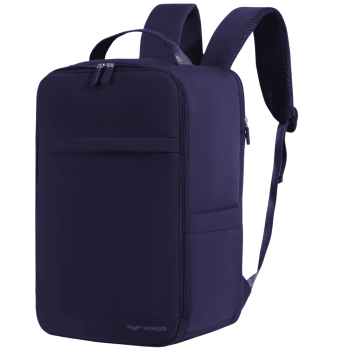 Plecaki Nowoczesny plecak kabinowy Blue 20 l