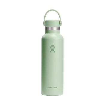 Butelki termiczne 21 Oz Standard Flex Cap Aloe 621 ml