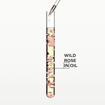 Pielęgnacja włosów i skóry głowy Gloss Absolu Glaze Drops Oil 45 ml