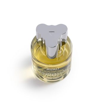 Wody perfumowane unisex Sculpted Land 100 ml