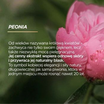 Kremy do dłoni Peonia Krem przeciwzmarszczkowy i rozjaśniający do rąk 150 ml