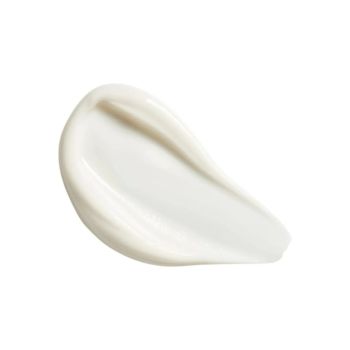 Kremy na dzień White Pine Meno-Reverse Volumizing Serum-in-Moisturizer 40 ml
