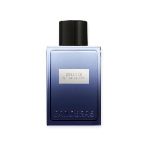 Wody toaletowe dla mężczyzn Essence of Success 100 ml