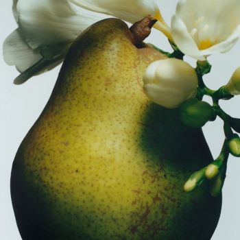 Wody kolońskie English Pear & Freesia Cologne 100 ml