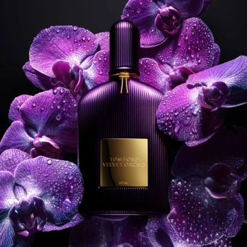 Wody perfumowane dla kobiet Velvet Orchid EDP 50 ml