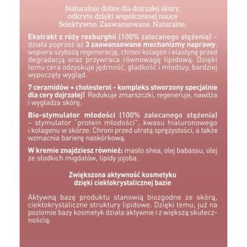 Kremy na dzień RÓŻA 60+ Krem ceramidowy wygładzający na dzień i na noc 50 ml
